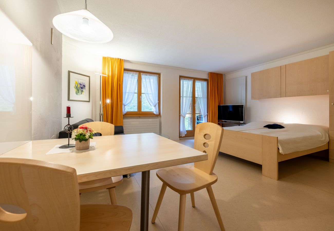 Studio in Vulpera - 5103 Gemütliche und liebevoll gestaltete 1,5-Zimmer-Wohnung