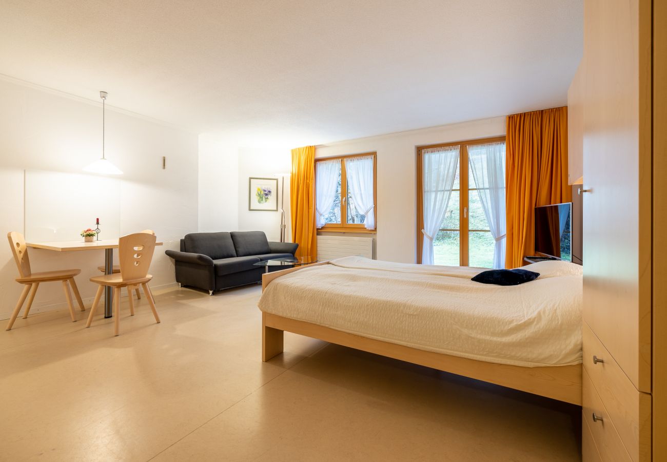 Studio in Vulpera - 5103 Gemütliche und liebevoll gestaltete 1,5-Zimmer-Wohnung