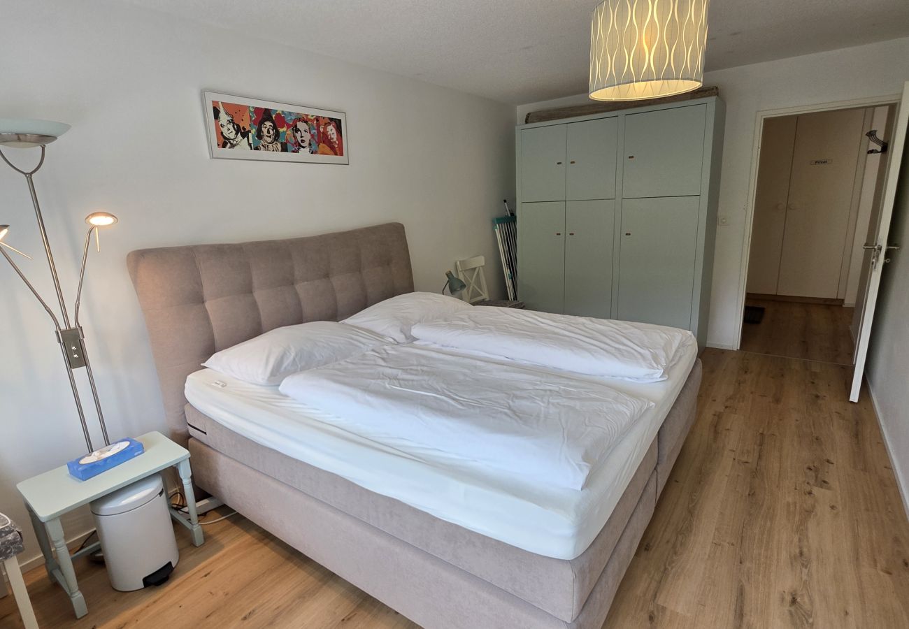 Ferienwohnung in Vulpera - PL 203 Helle frisch renovierte lichtdurchflutete Wohnung mit grosser Terrasse Richtung Scuol